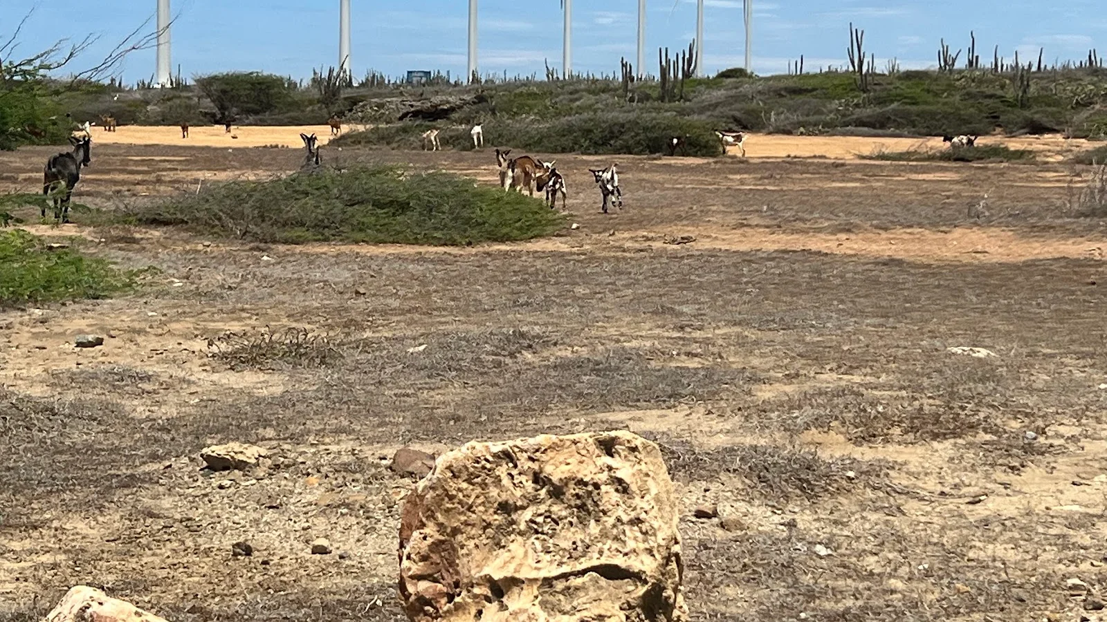 Parc Nacional d'Arikok