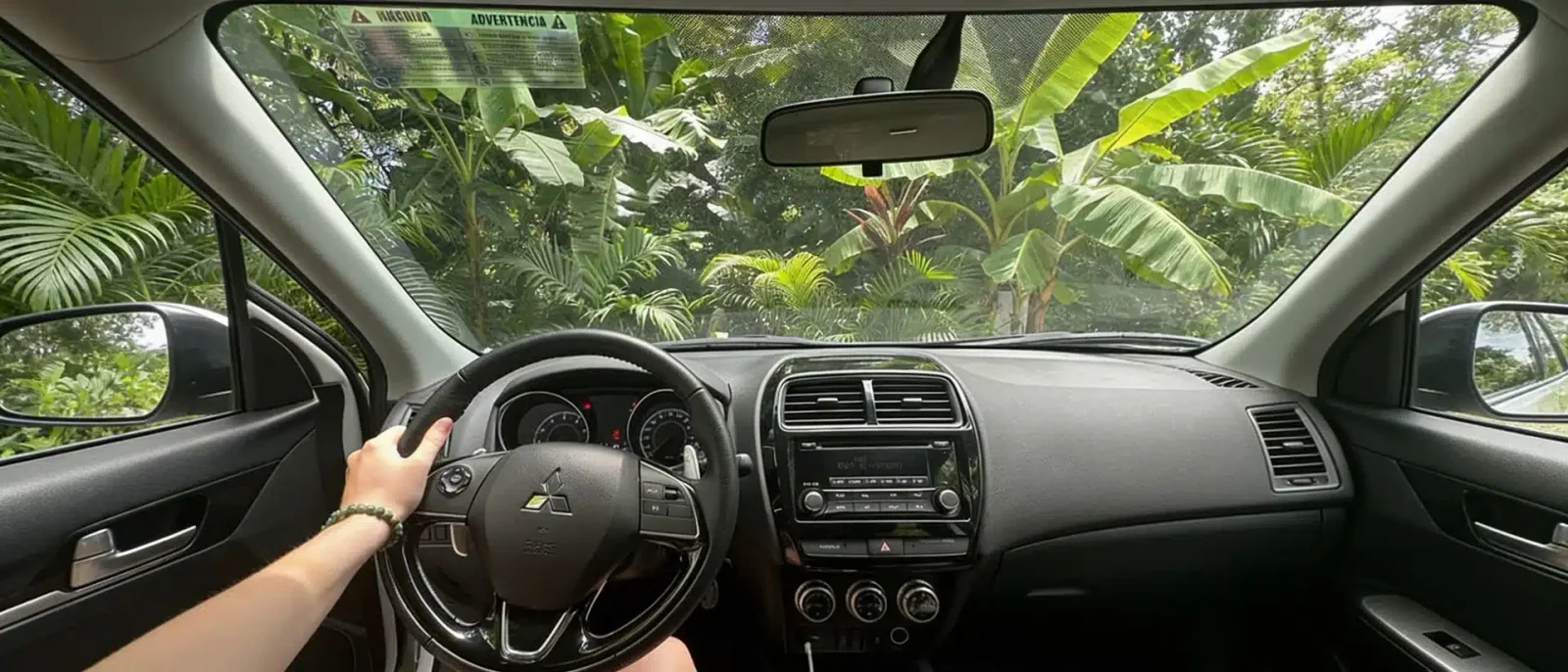 View from the driver's seat of a car, hand on steering wheel, with lush tropical foliage through the windshield