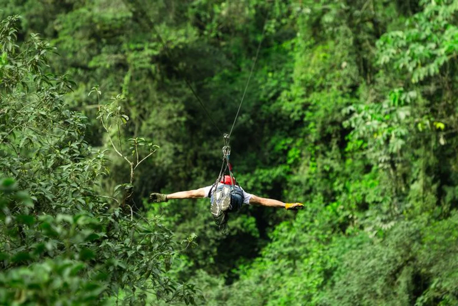 Person ziplining upside down through a lush green rainforest canopy in Costa Rica