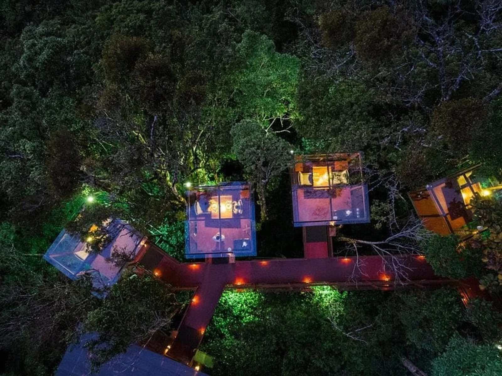 Aerial night view of glass treehouse cabins connected by a lit walkway through a forest canopy
