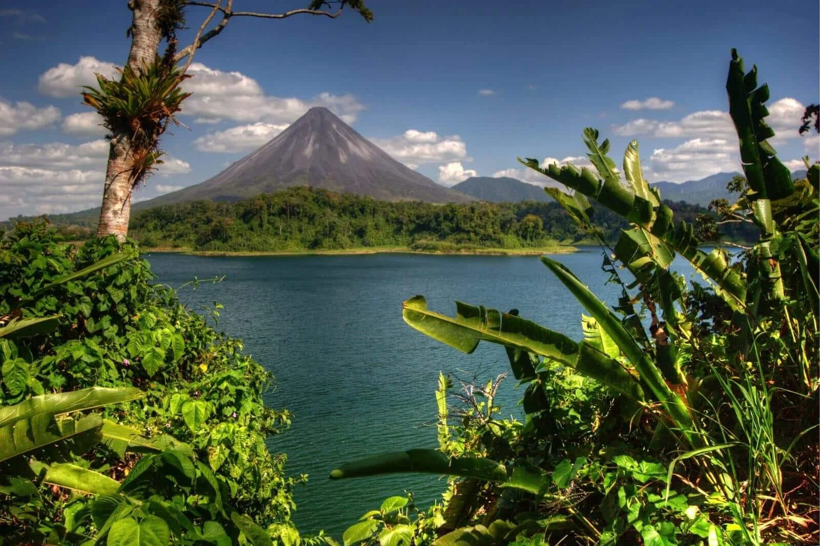 Arenal Volcano's cone rises over Lake Arenal, framed by lush tropical foliage in the foreground