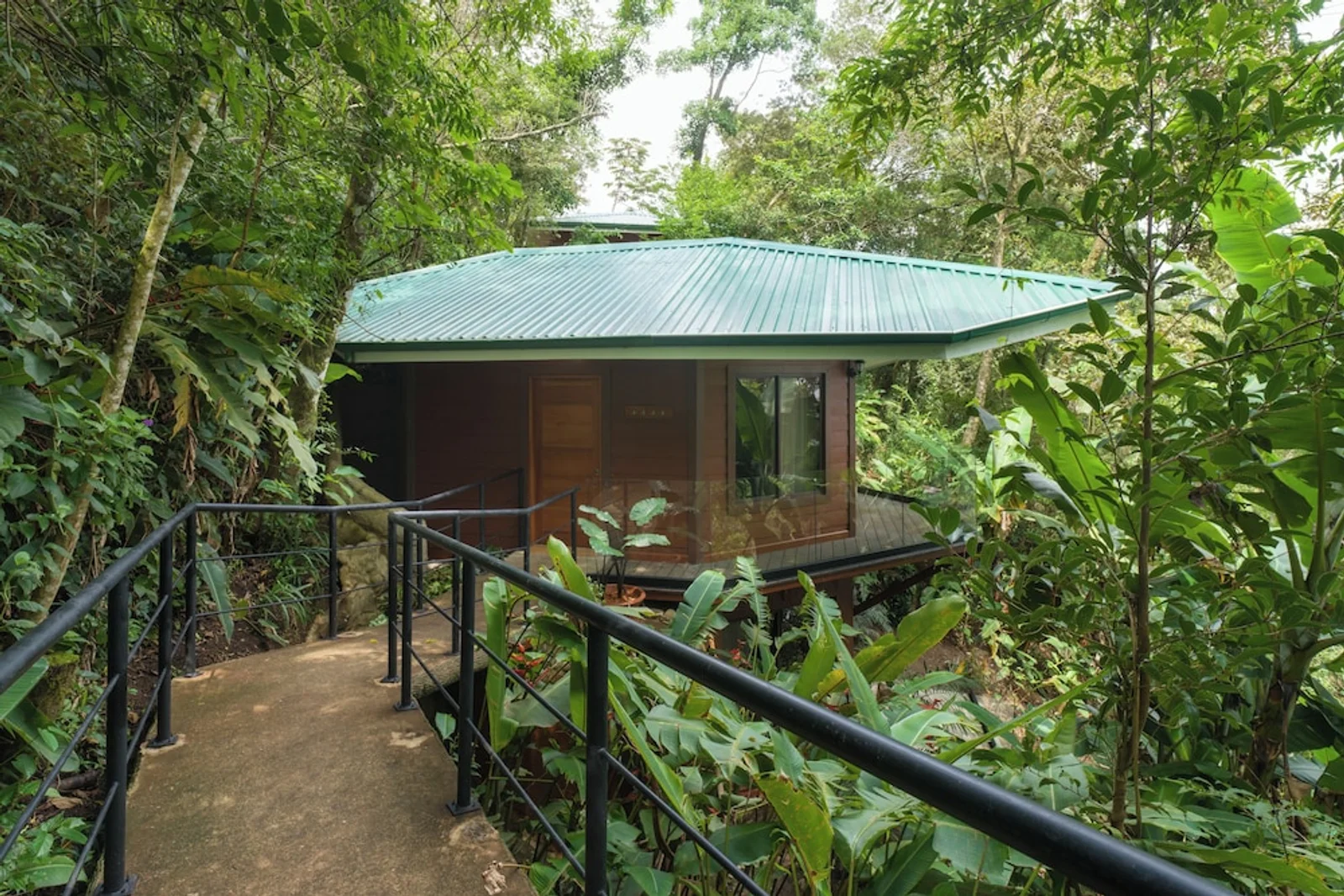 Elevated wooden cabin with a green metal roof surrounded by lush rainforest, reached by a railed walkway