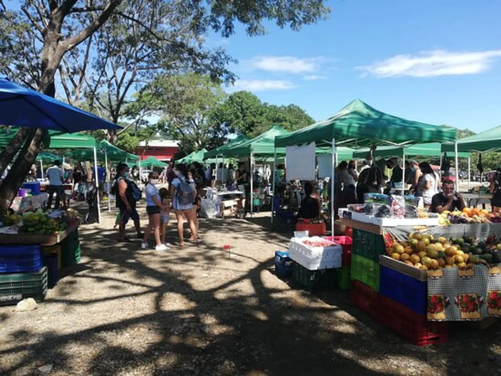 Outdoor farmers market with green canopy tents, shoppers, and crates of fresh fruit under trees