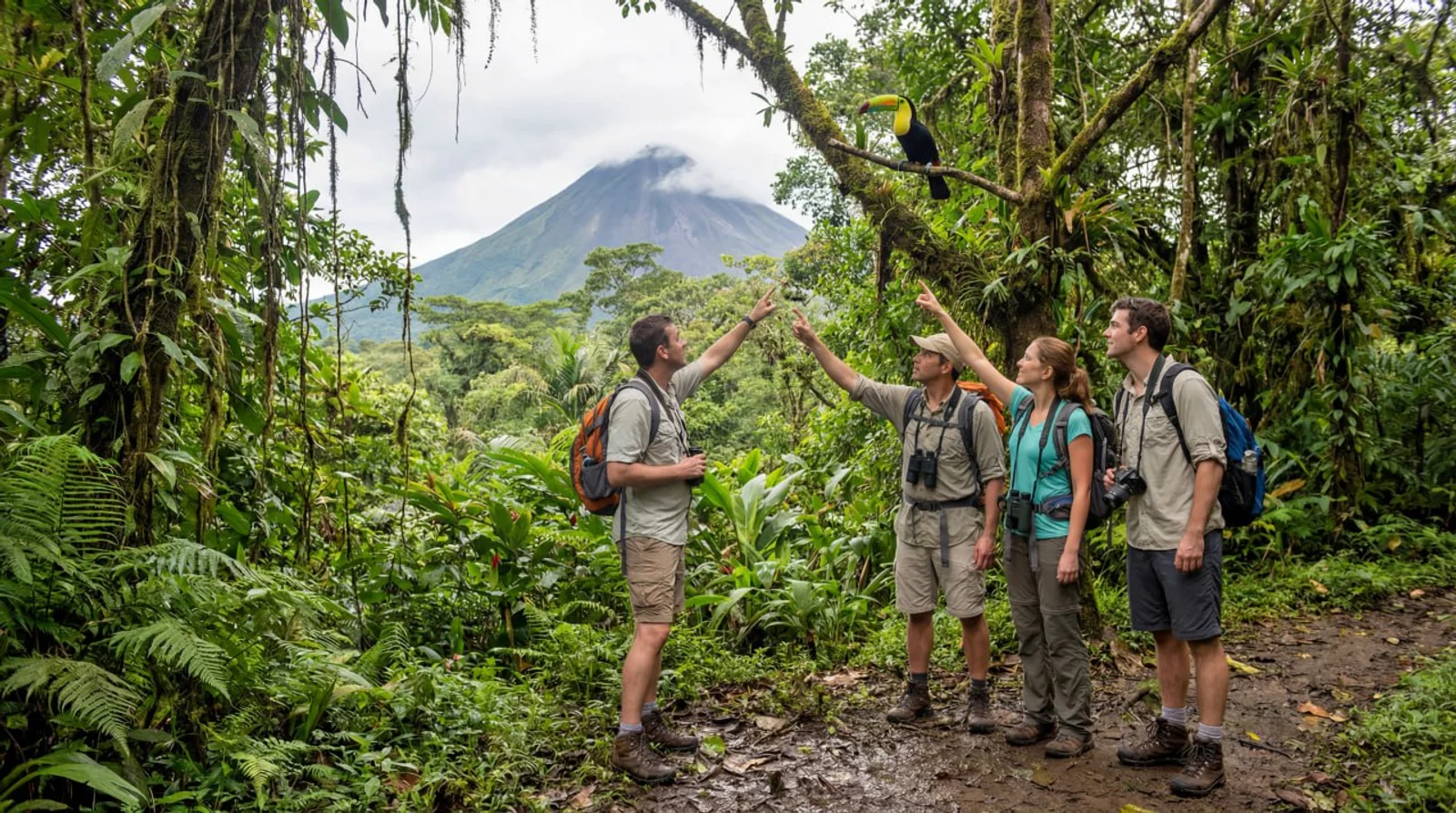 Hikers point up at a toucan on a branch, with Arenal Volcano rising in the background