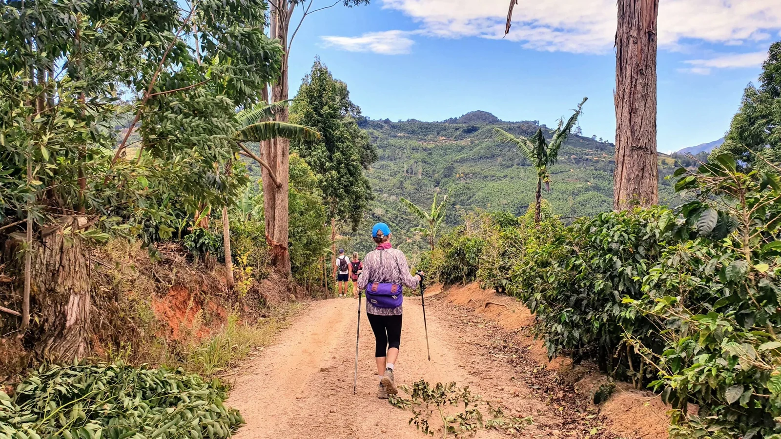 Hikers with trekking poles walk a dirt trail through green hillside farmland in Costa Rica
