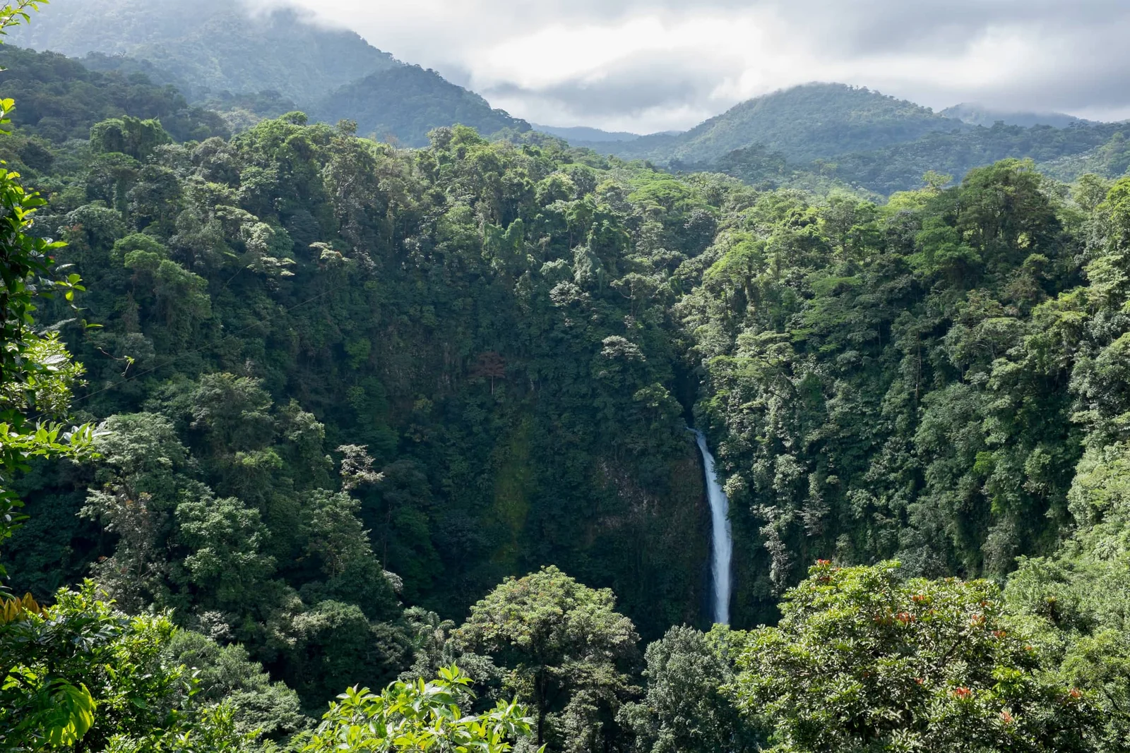A slender waterfall drops through a lush green rainforest valley with misty mountains behind