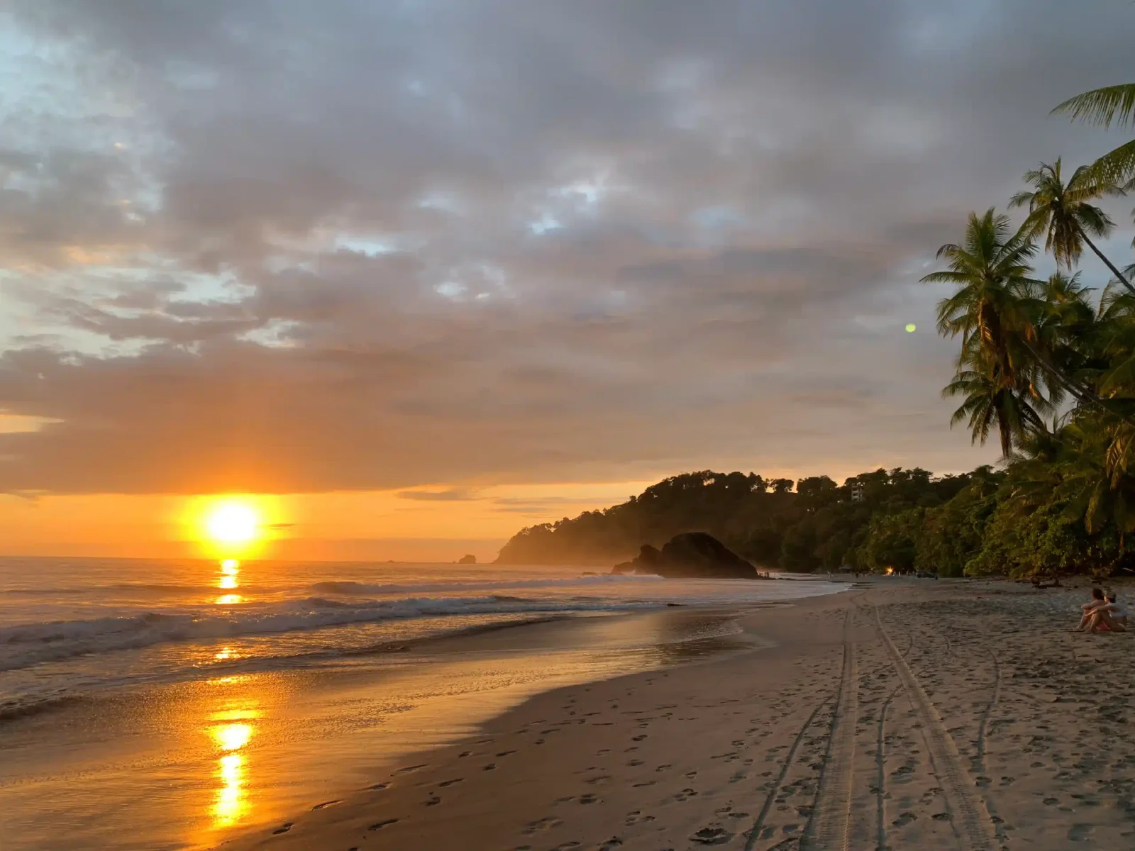 Golden sunset over the ocean at a tropical beach lined with palm trees and a forested headland