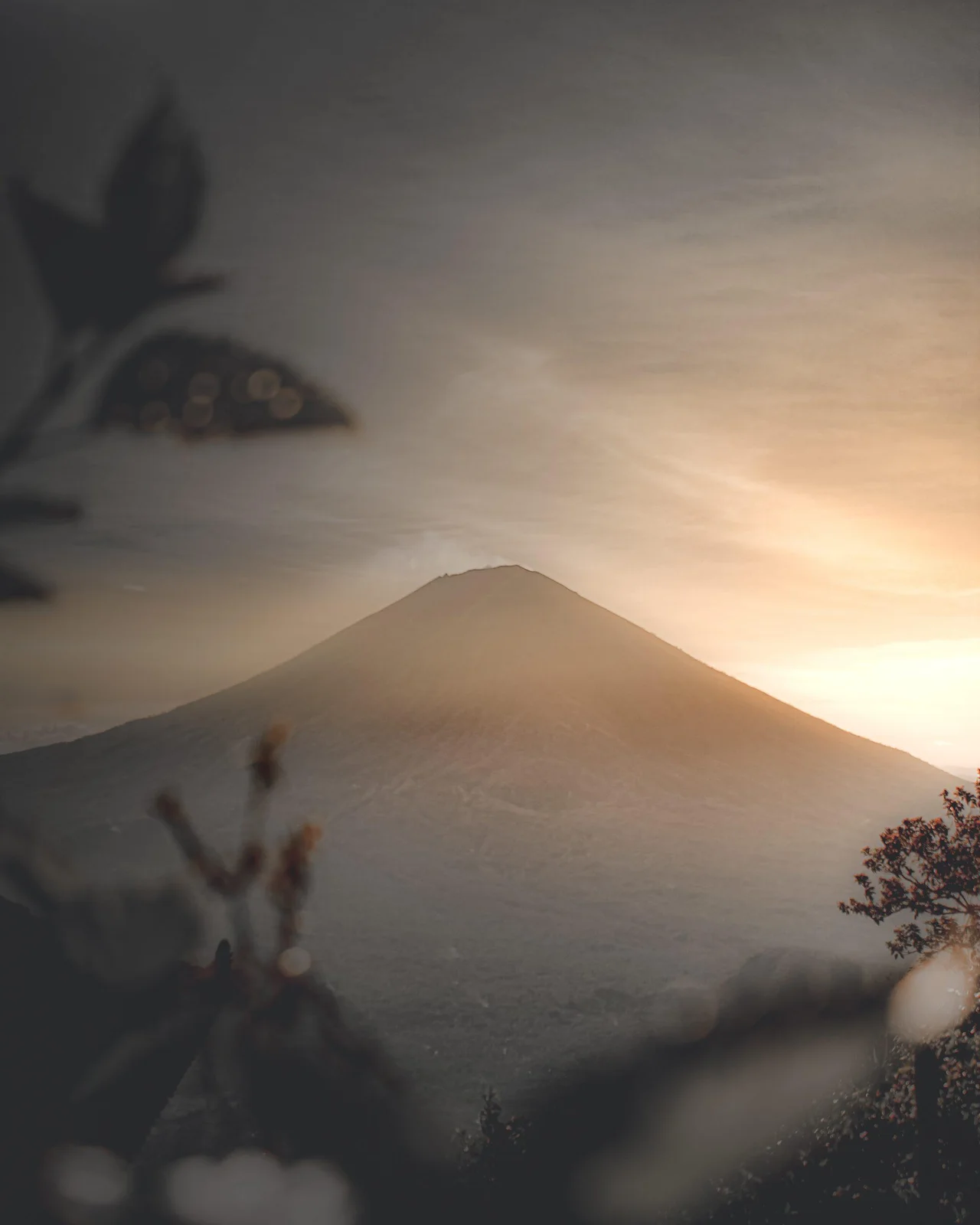 Silhouette of a cone-shaped volcano at sunset, framed by blurred foreground foliage