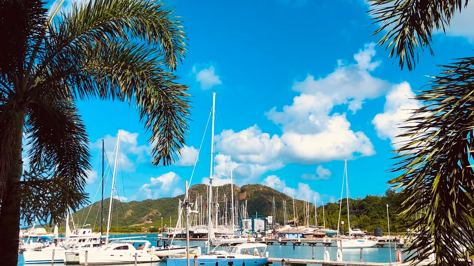 Jolly Harbour