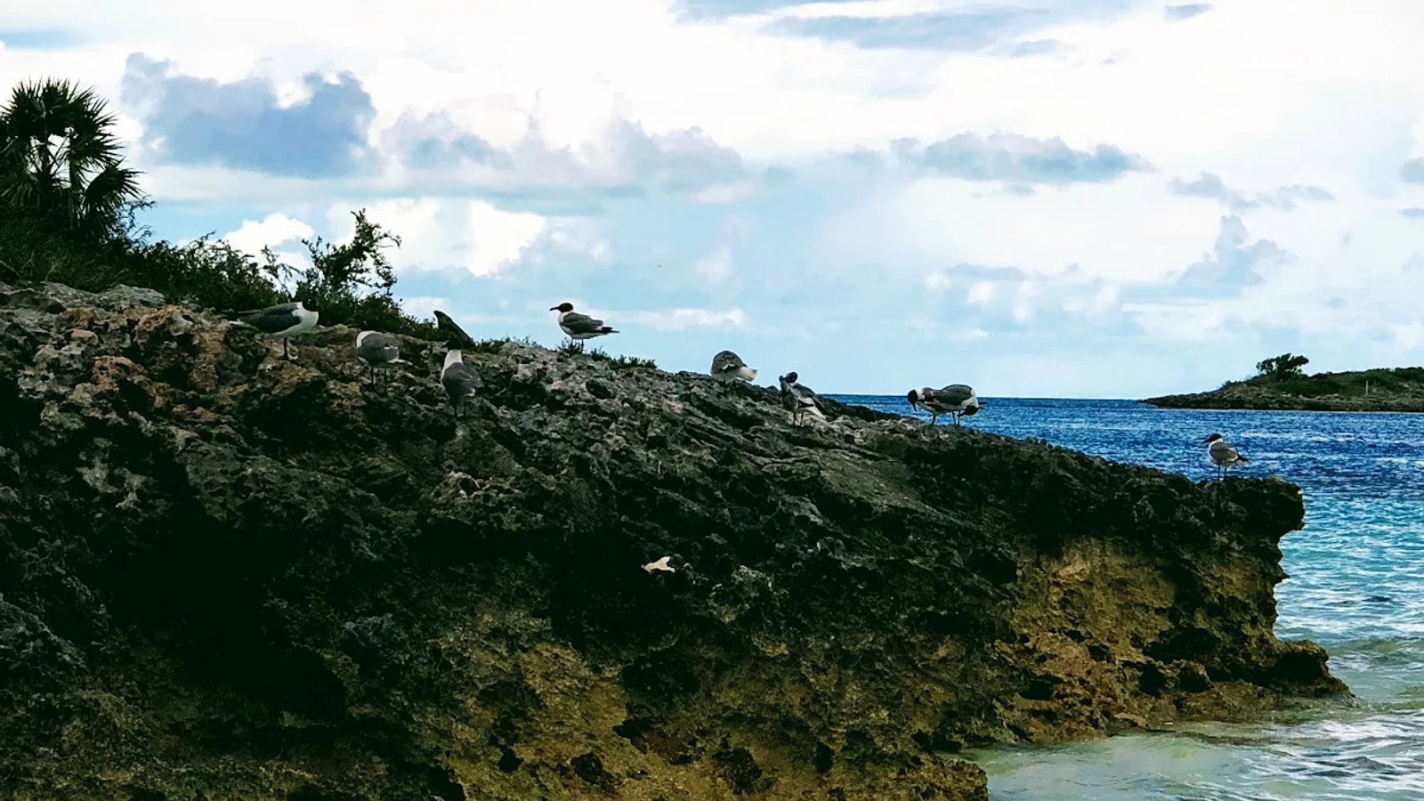 Exuma