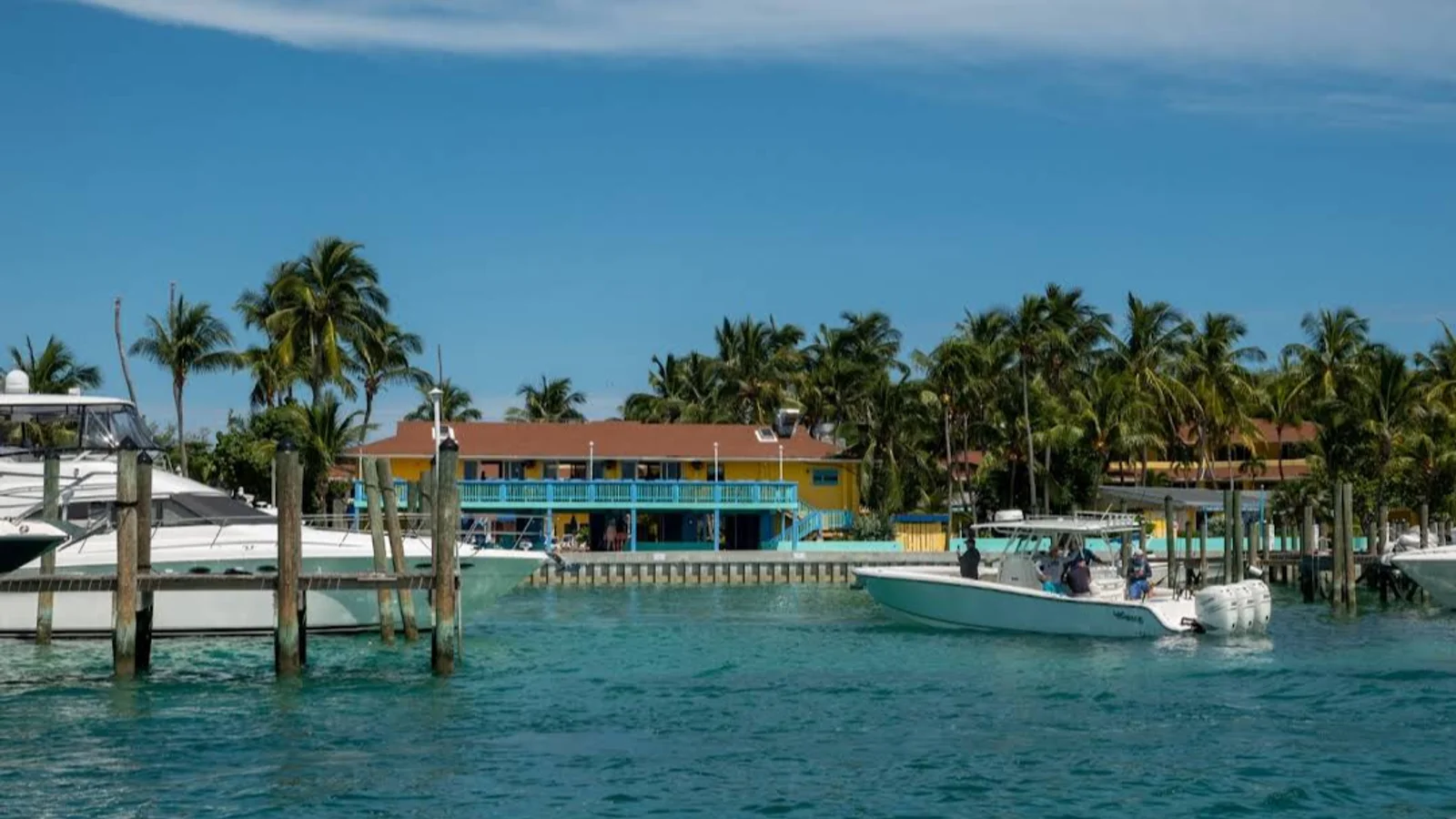Bimini