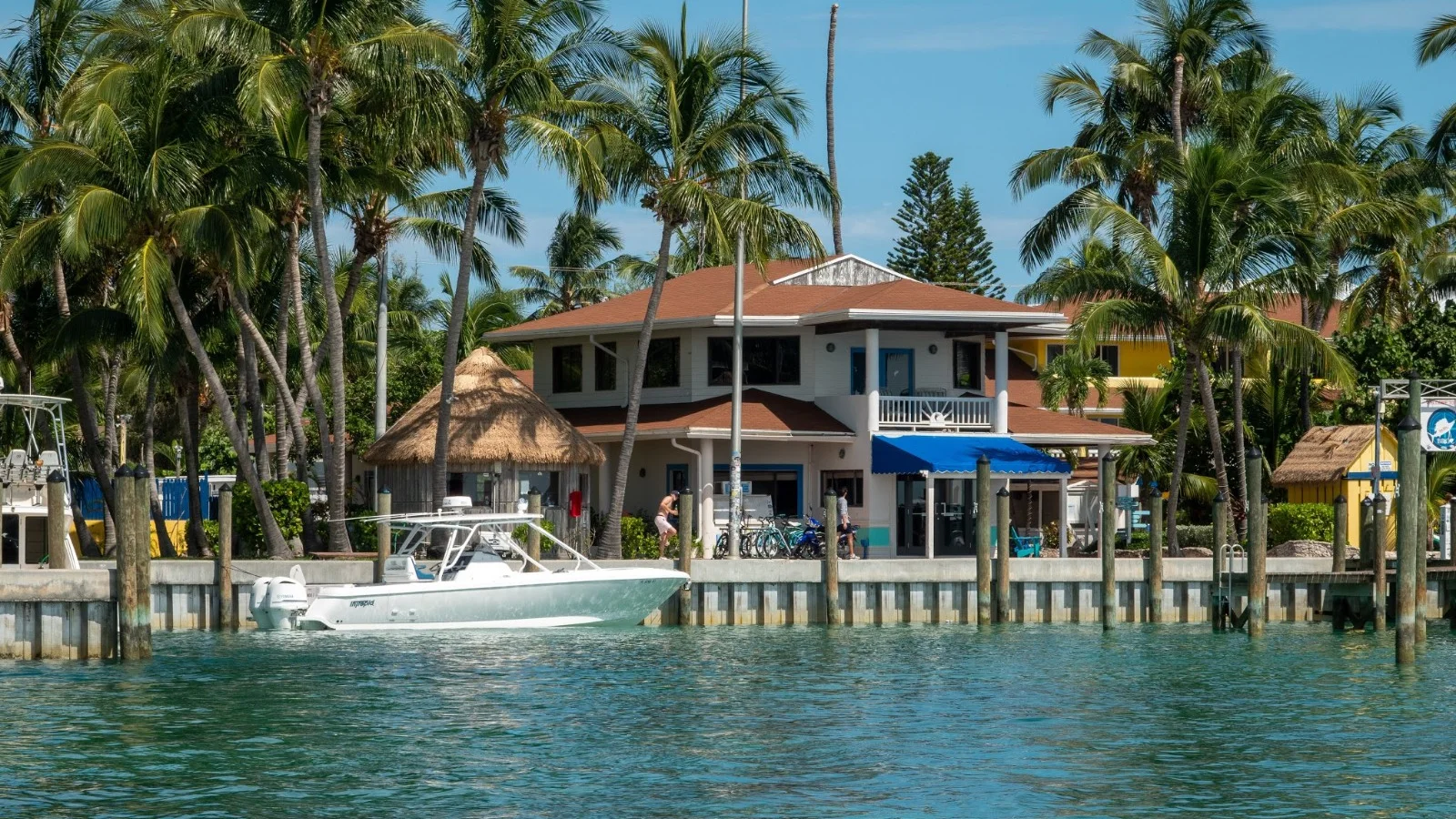 Bimini