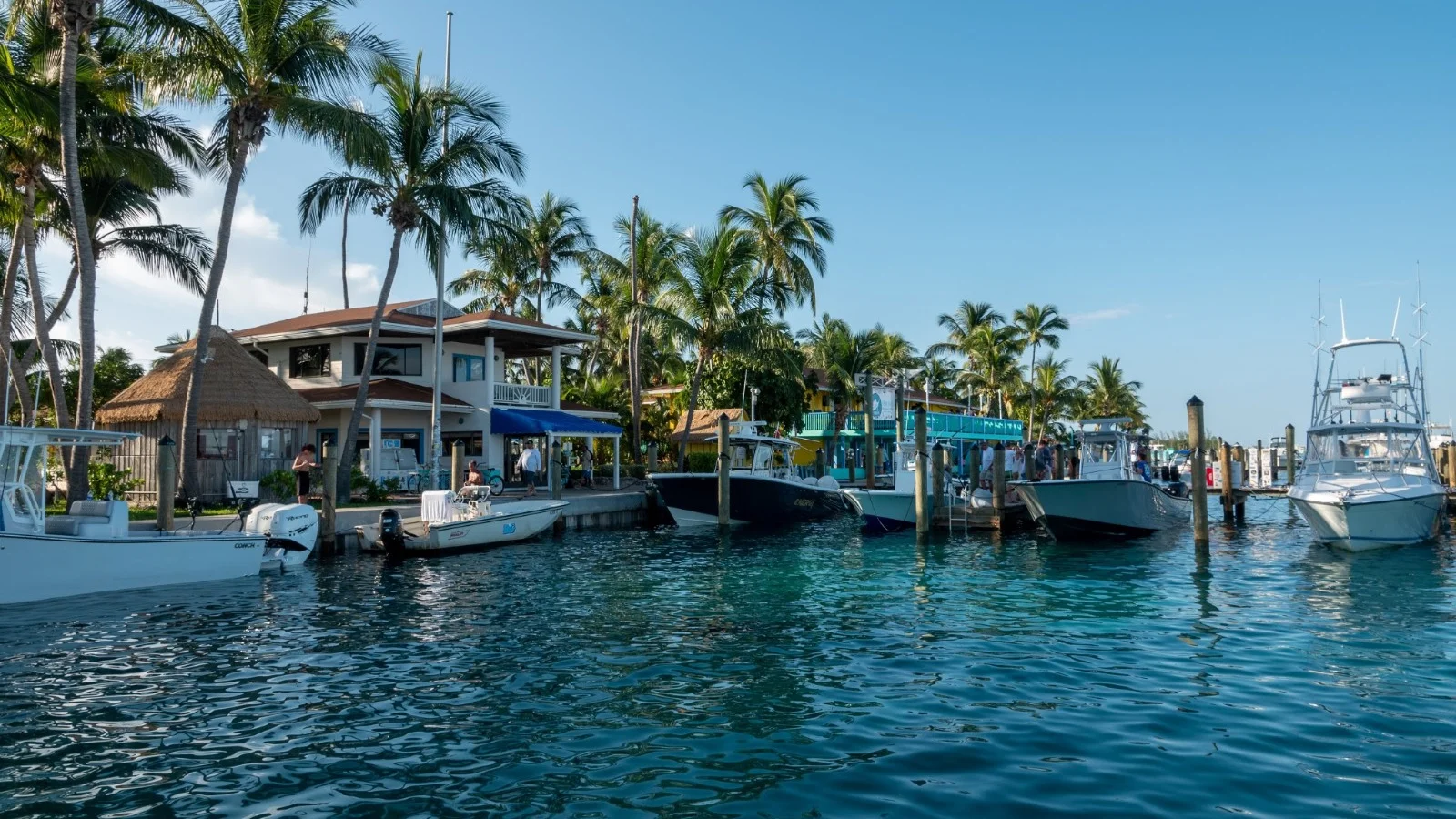 Bimini