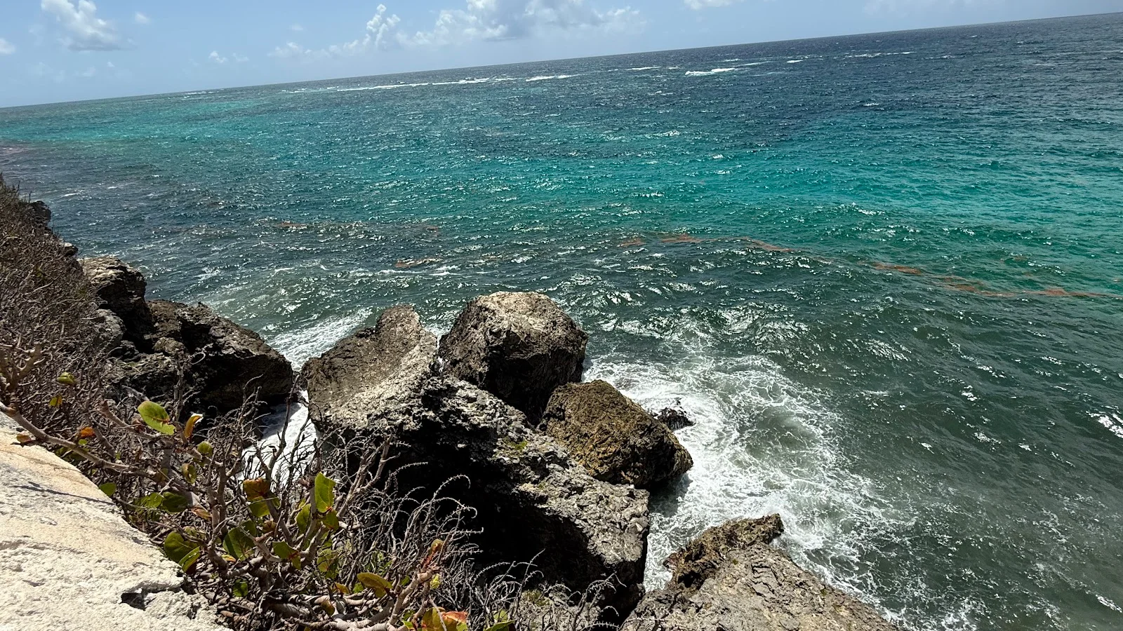 Crane Beach