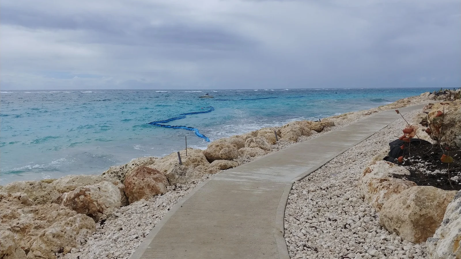 Crane Beach