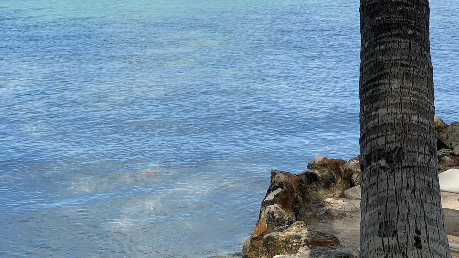 Rum Point