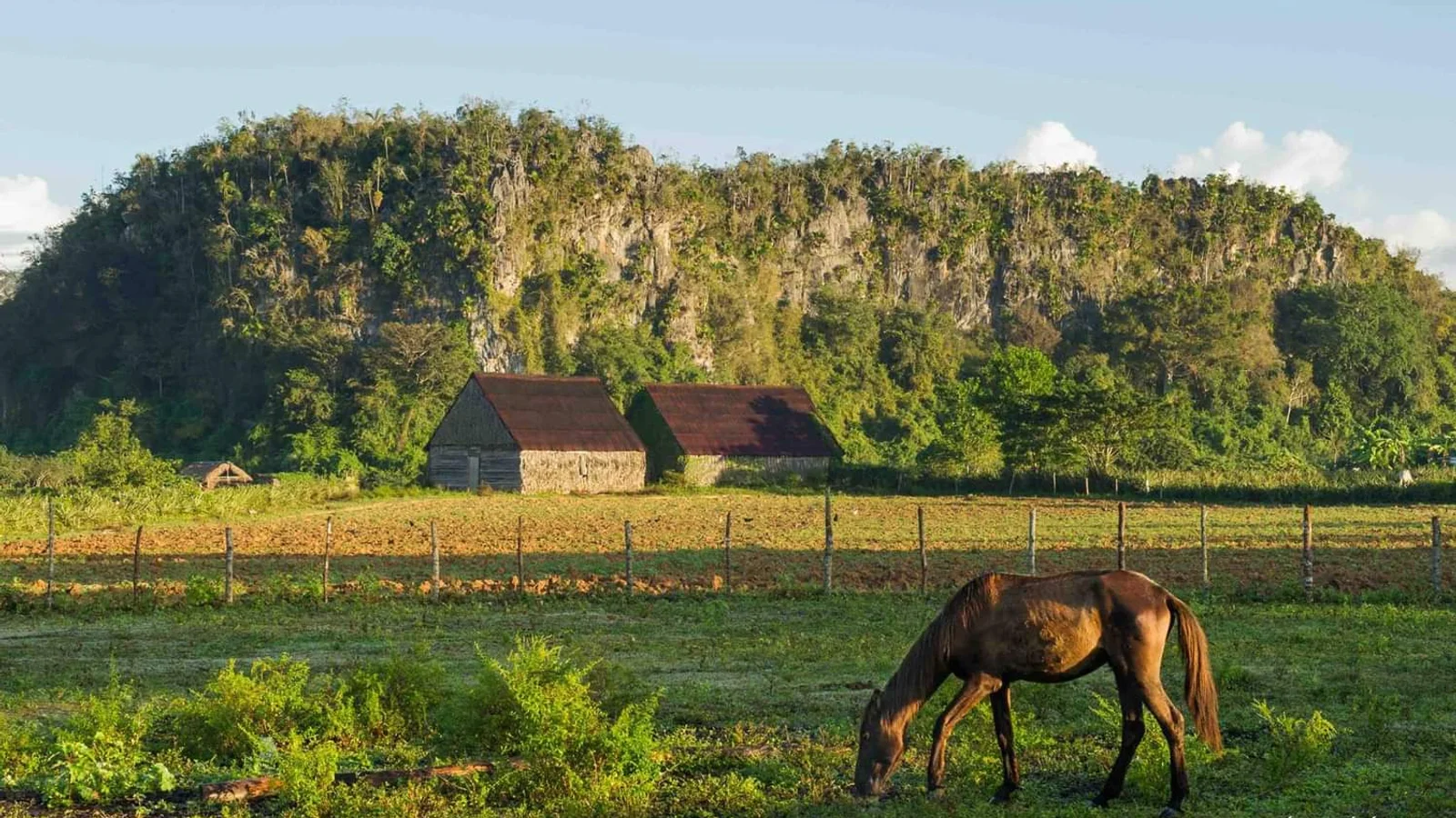 Viñales