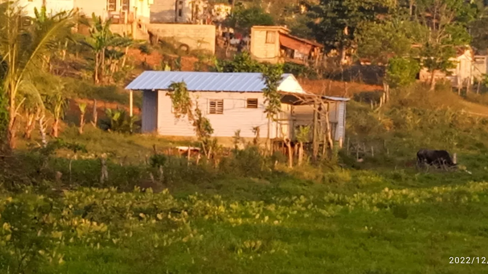Viñales