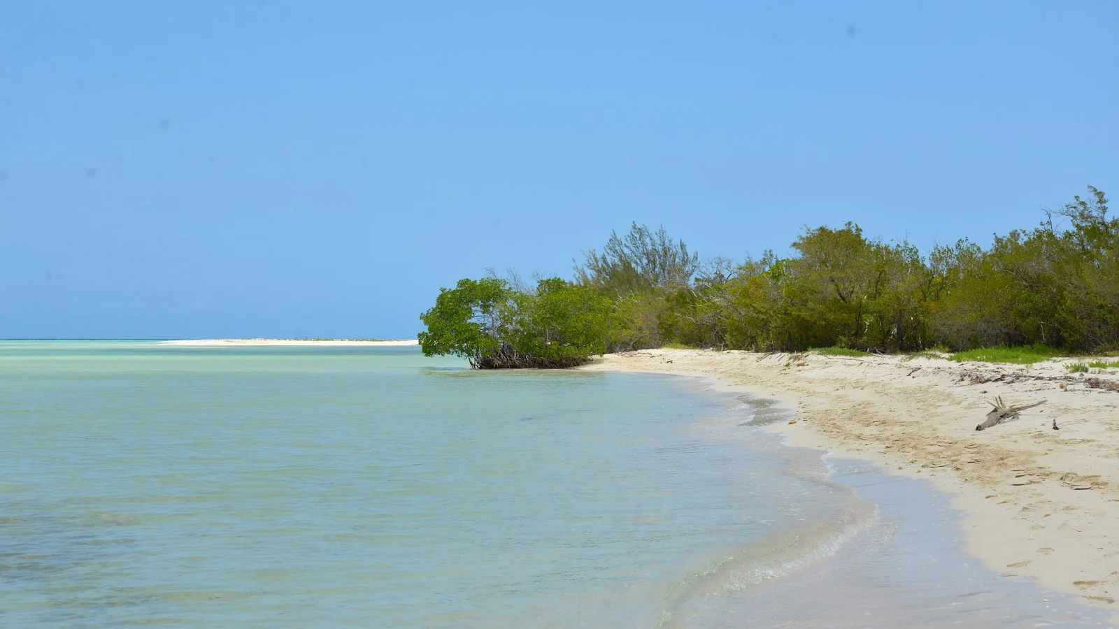 Cayo Coco