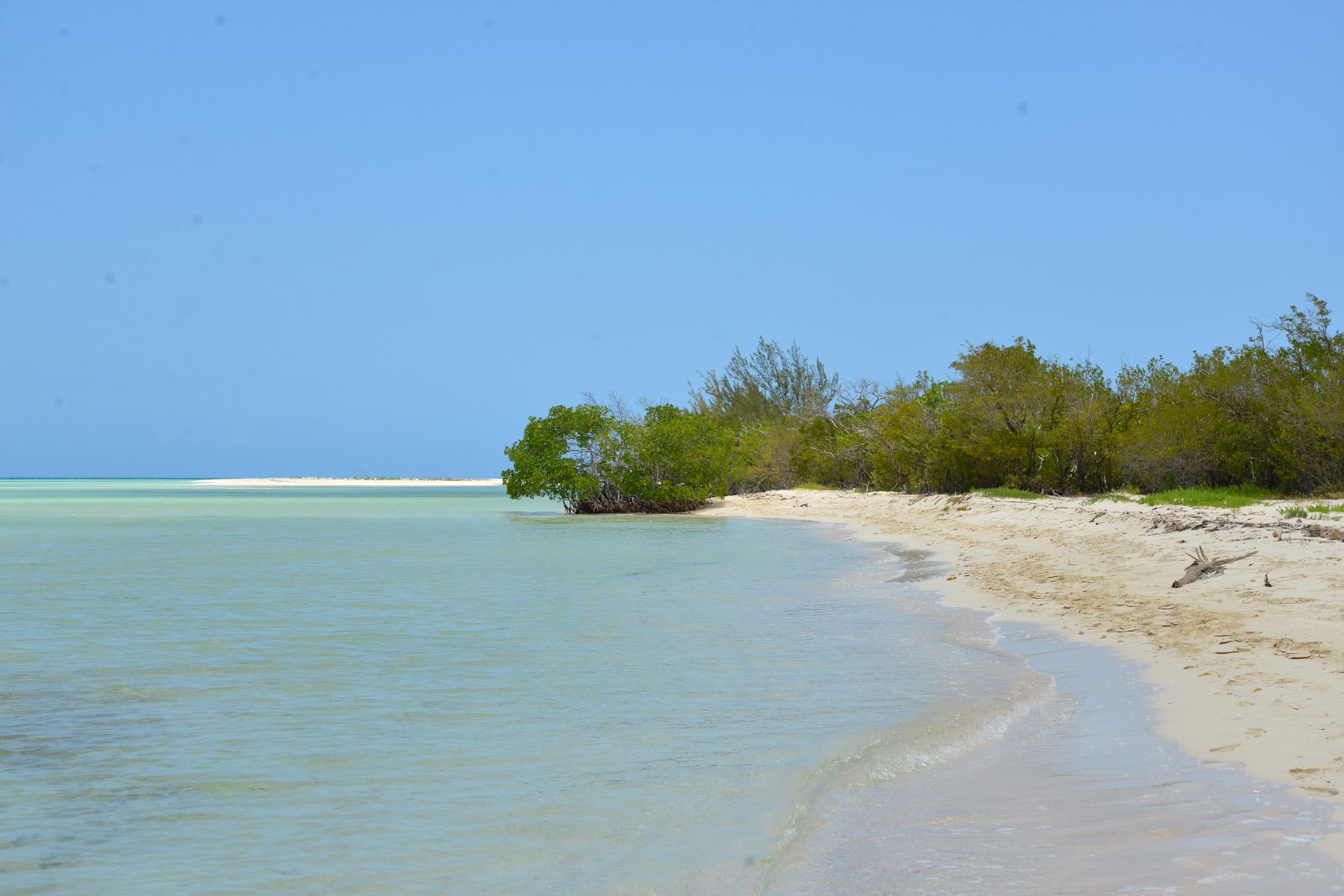 Cayo Coco