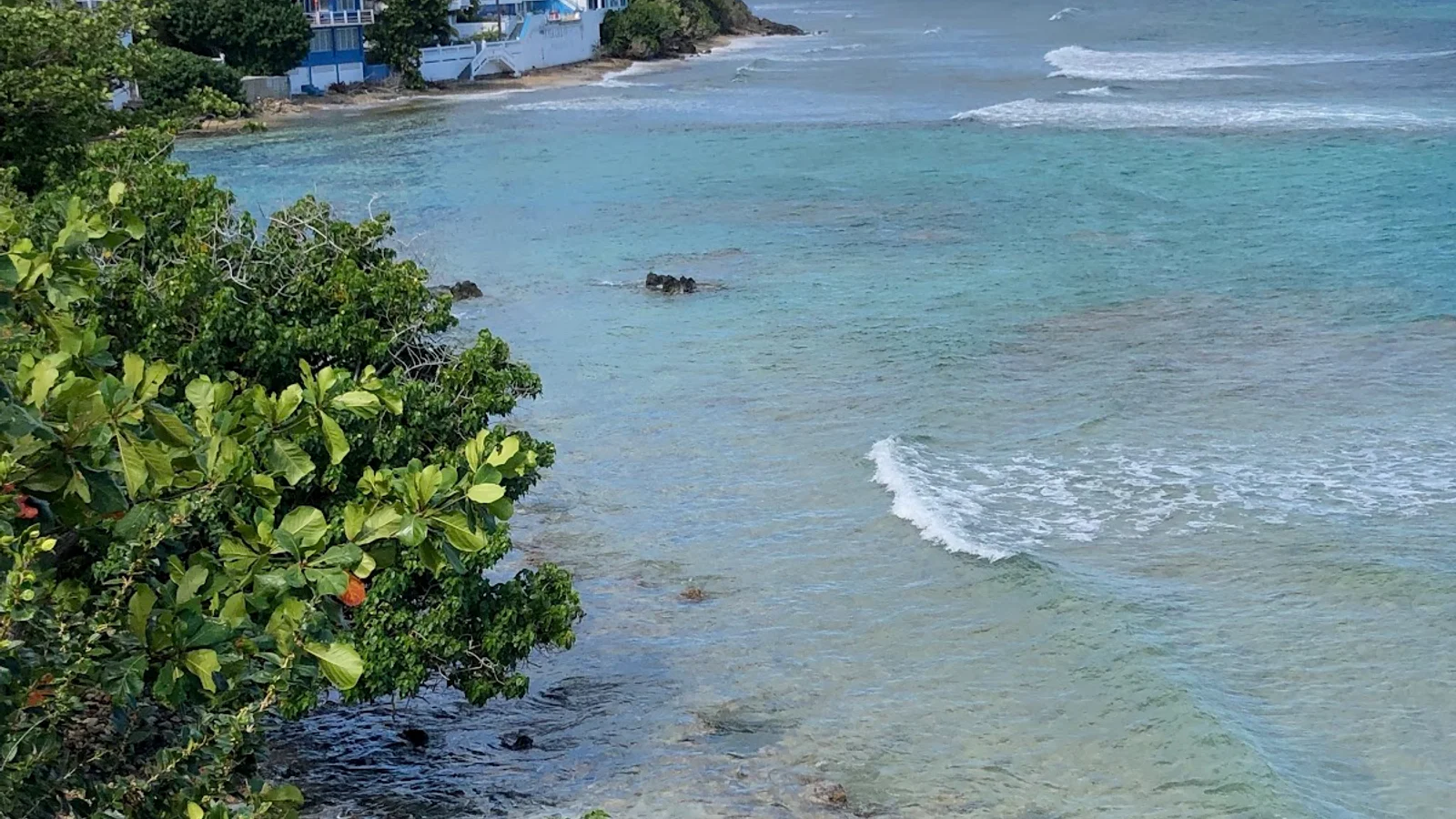 Vieques