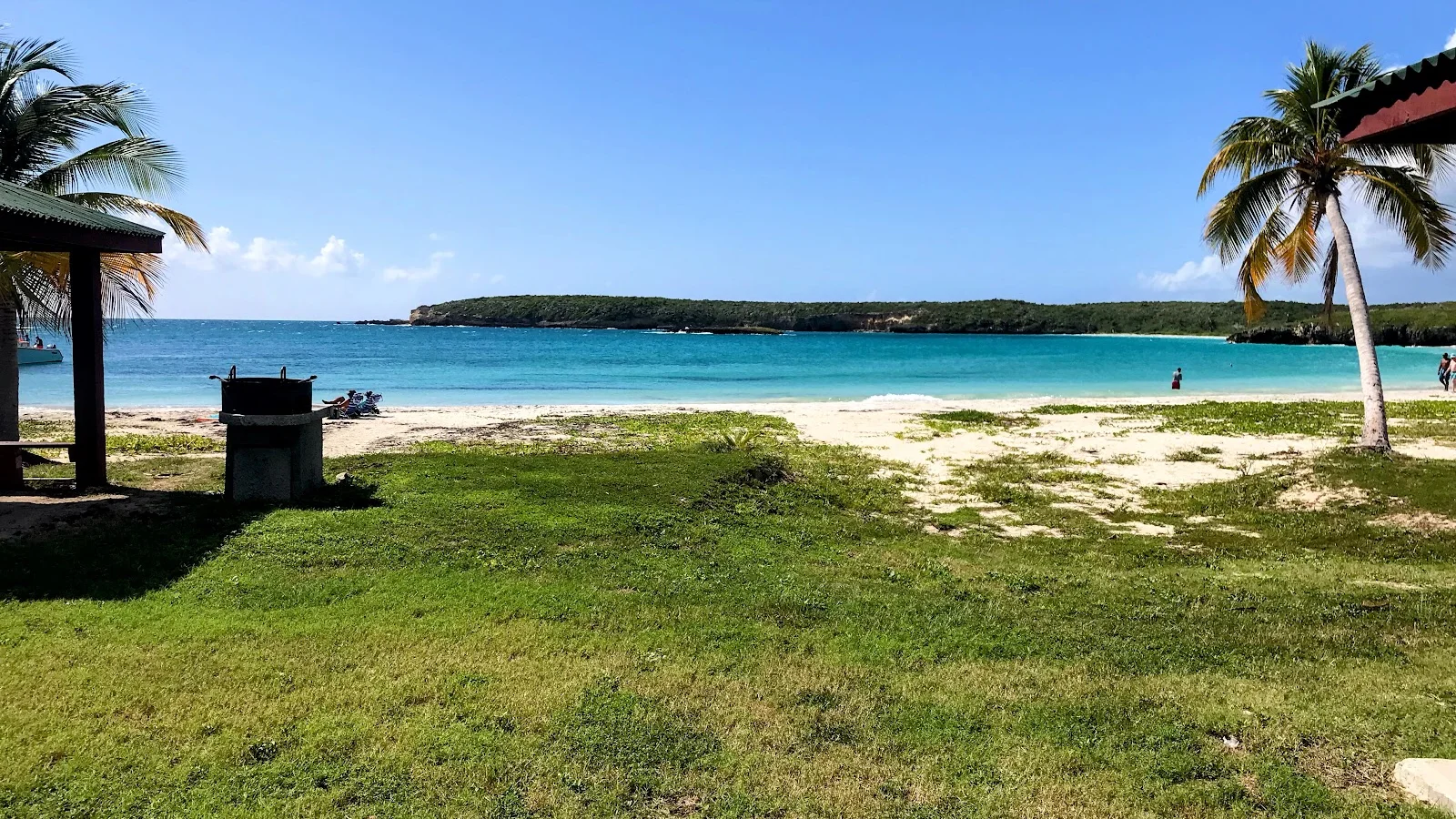 Vieques