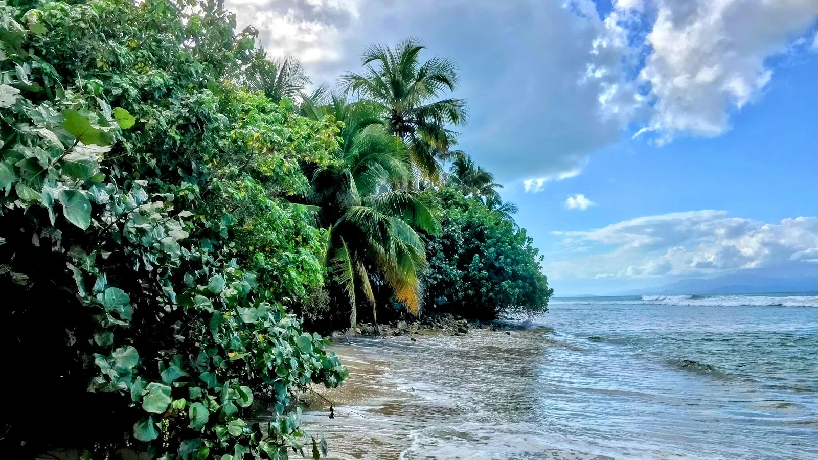 Vieques