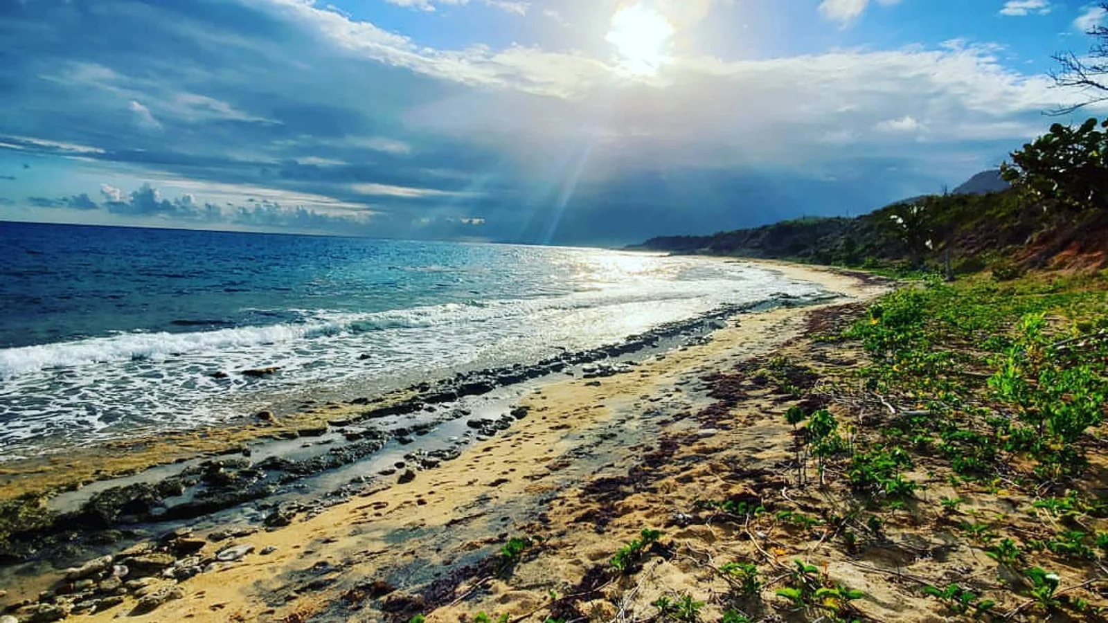 Vieques