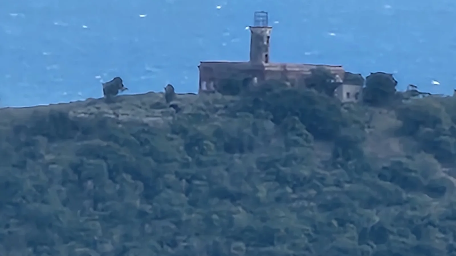 Culebra