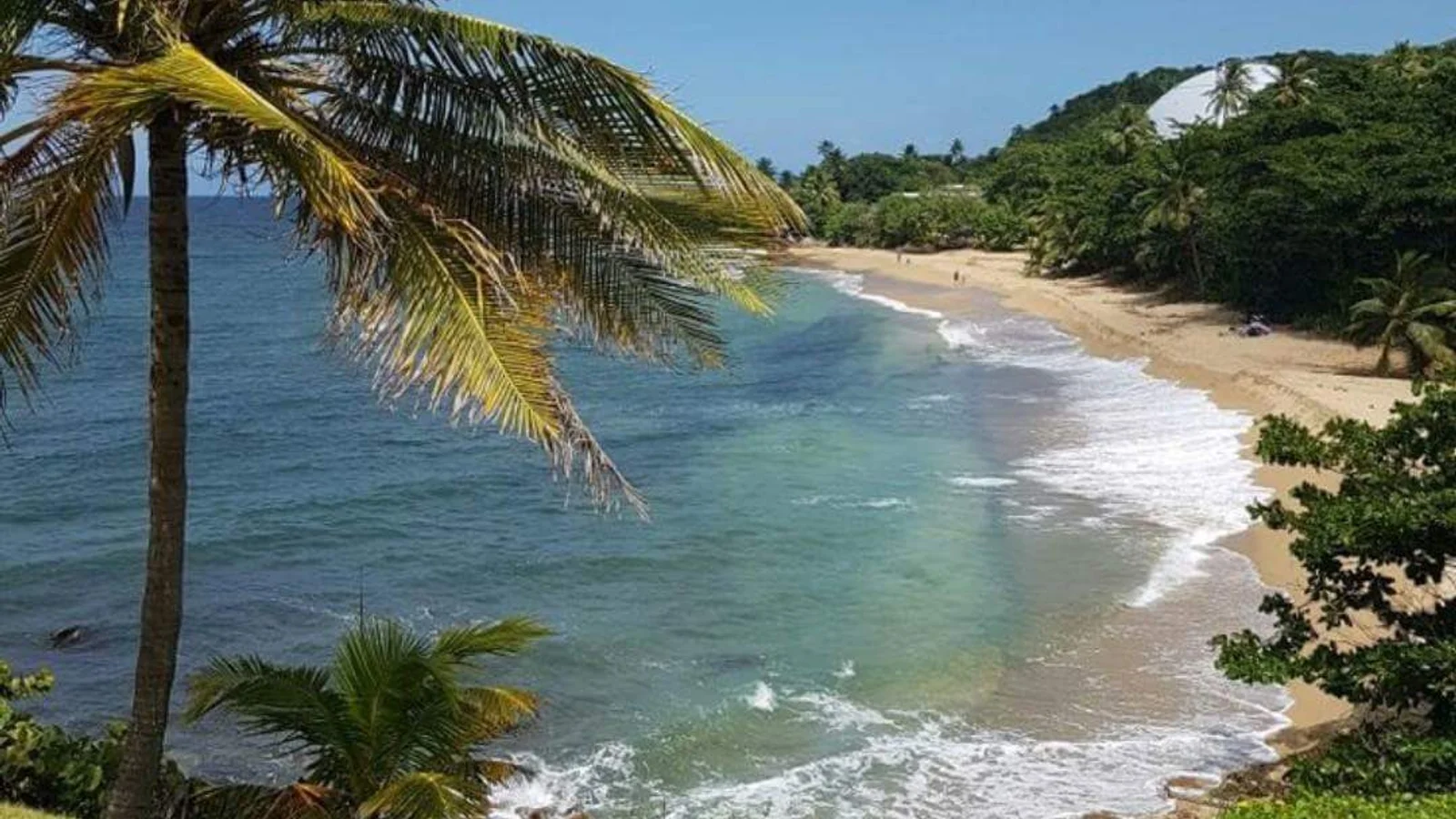 Rincon