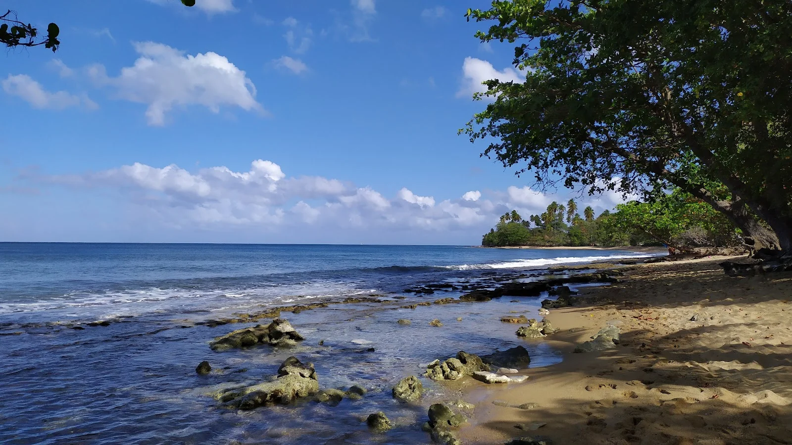 Rincon
