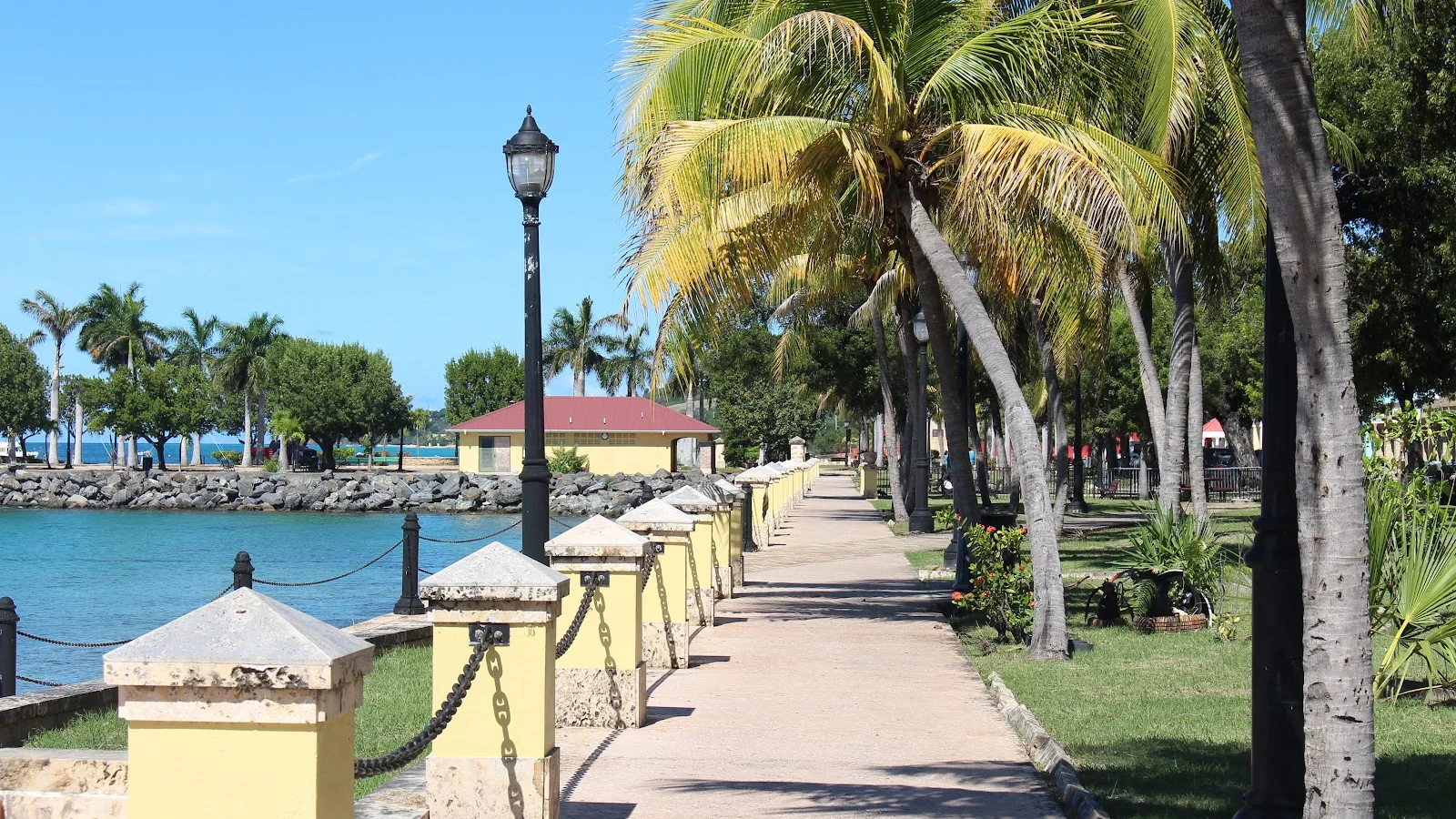 Santa Cruz