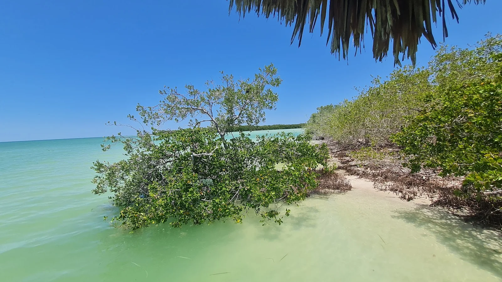 Cozumel