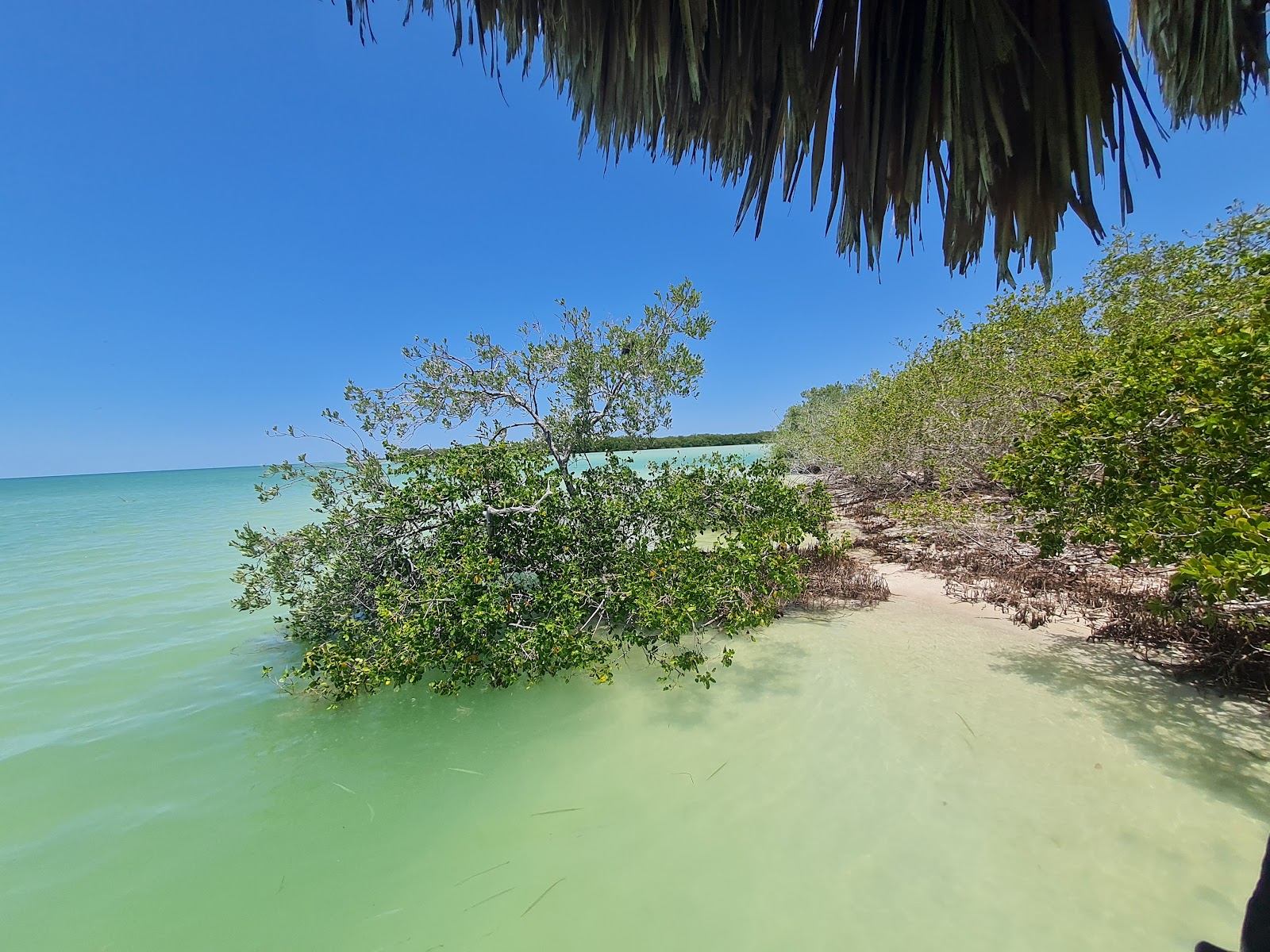 Cozumel