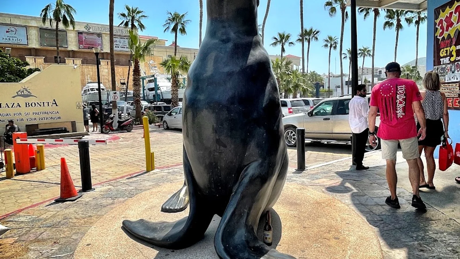 Cabo San Lucas