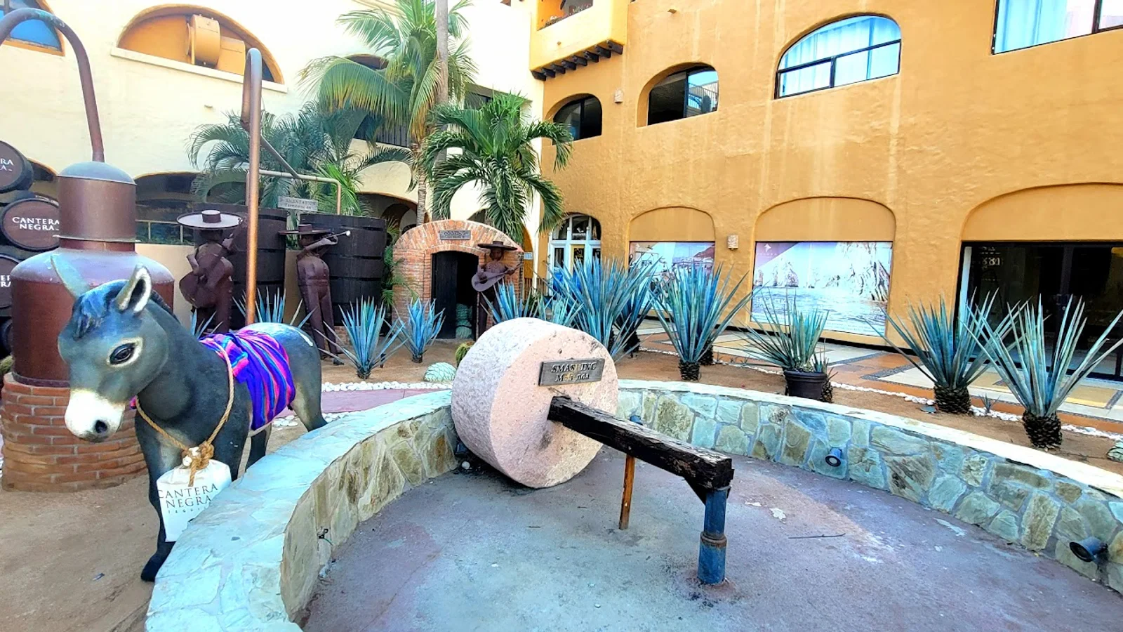 Cabo San Lucas