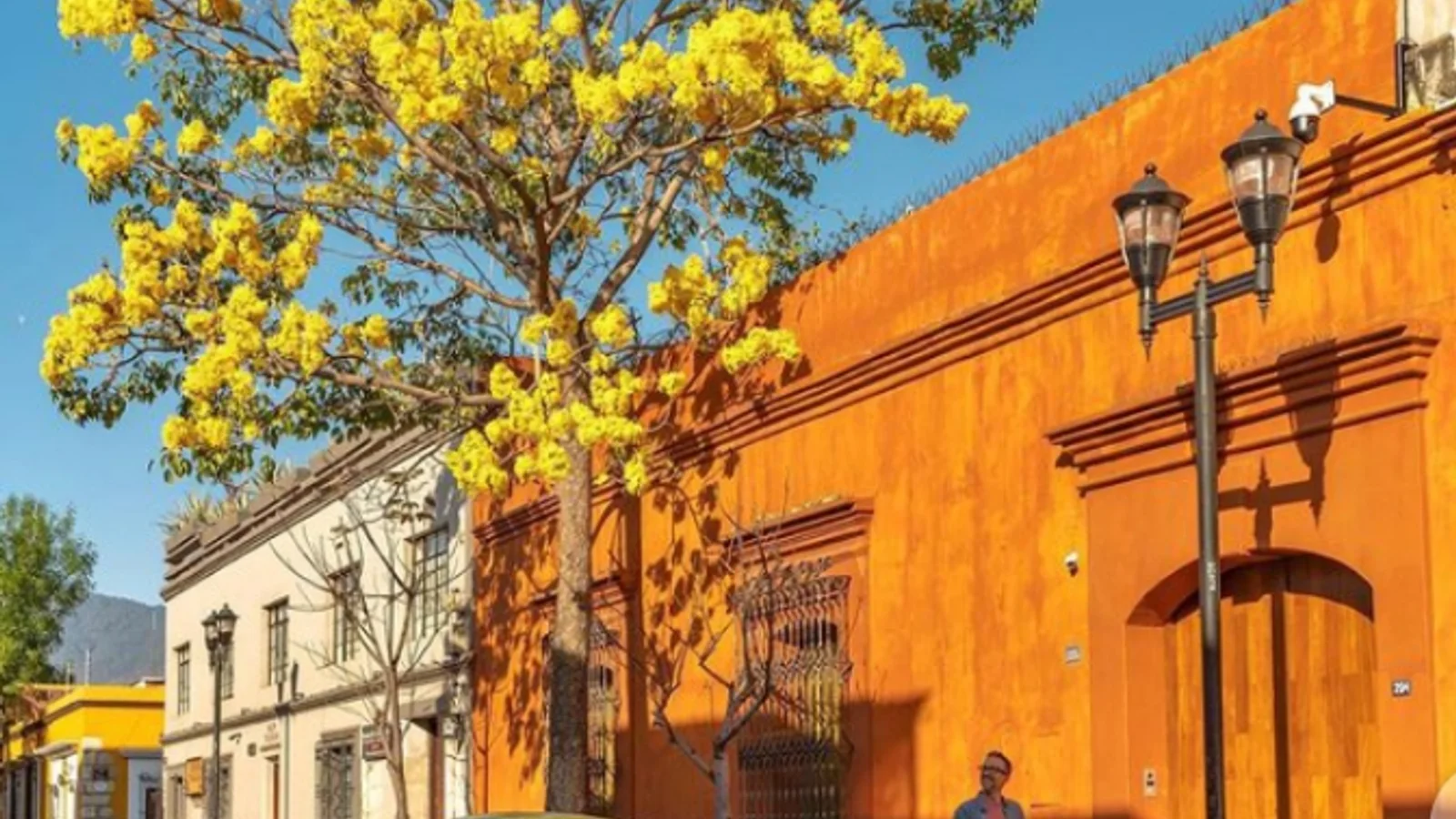 Oaxaca
