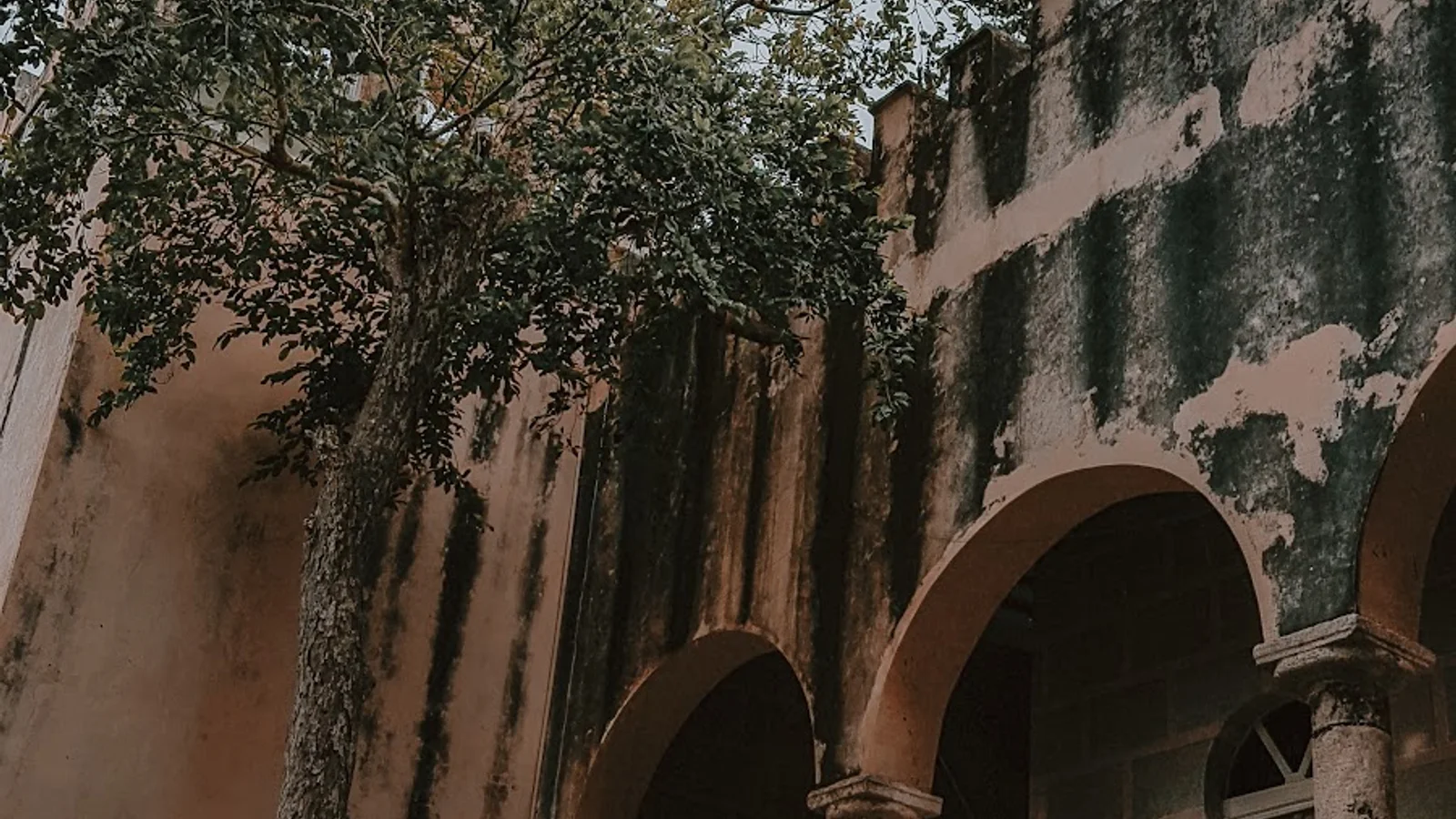 Merida