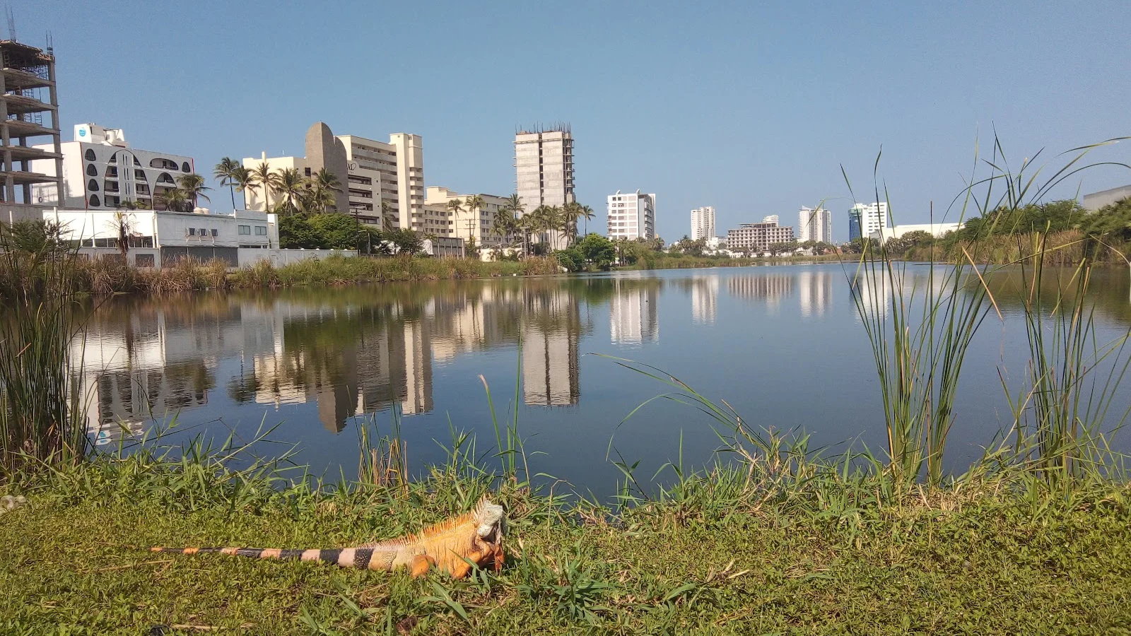Mazatlan