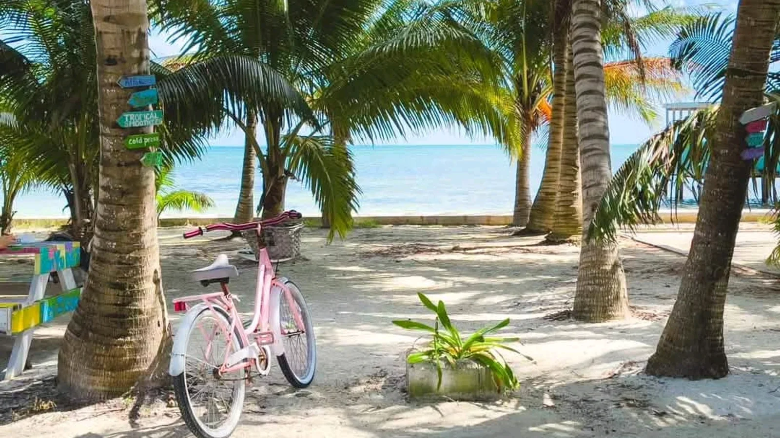 Caye Caulker