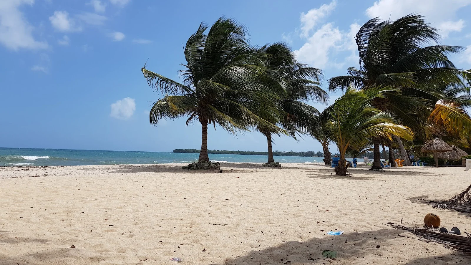 Placencia