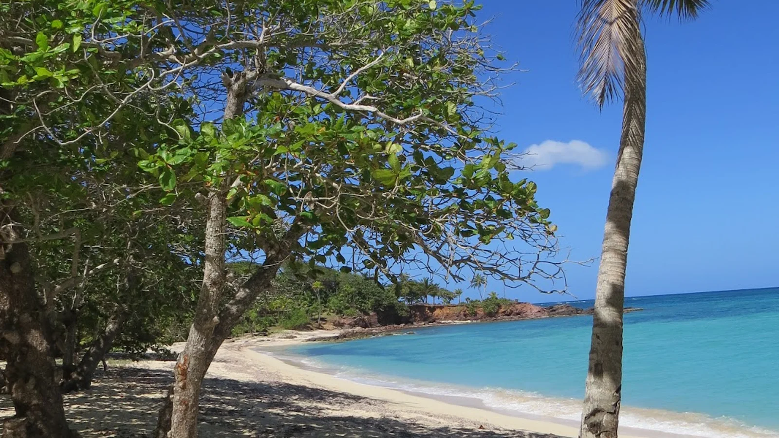 Roatan