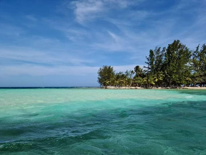 Utila