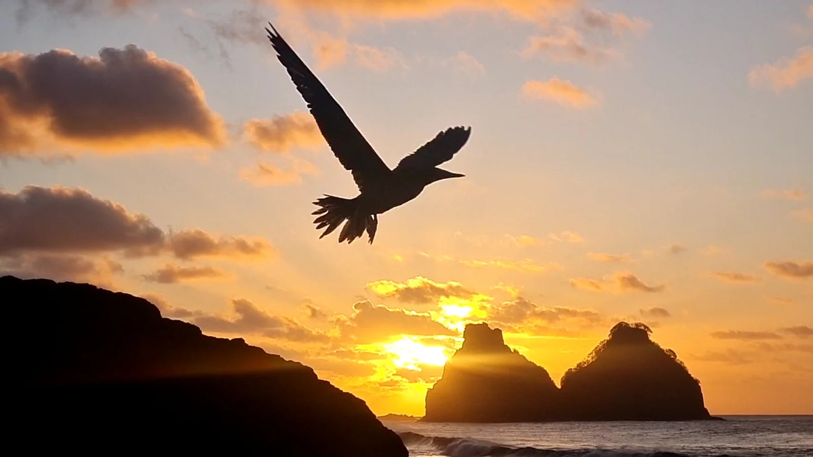 Fernando de Noronha