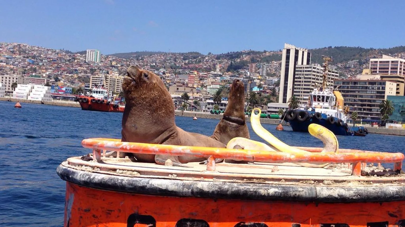 Valparaiso