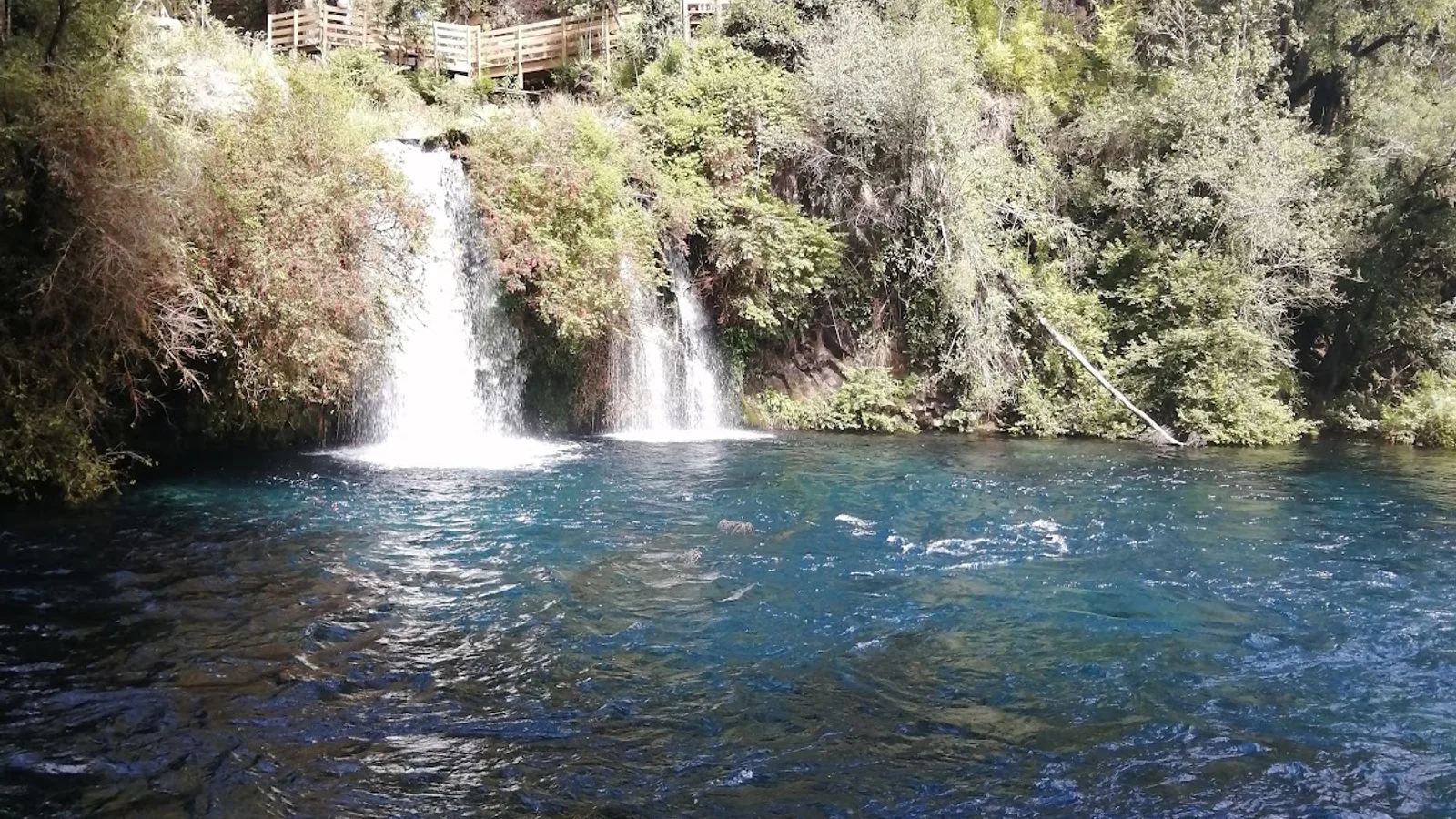 Pucon