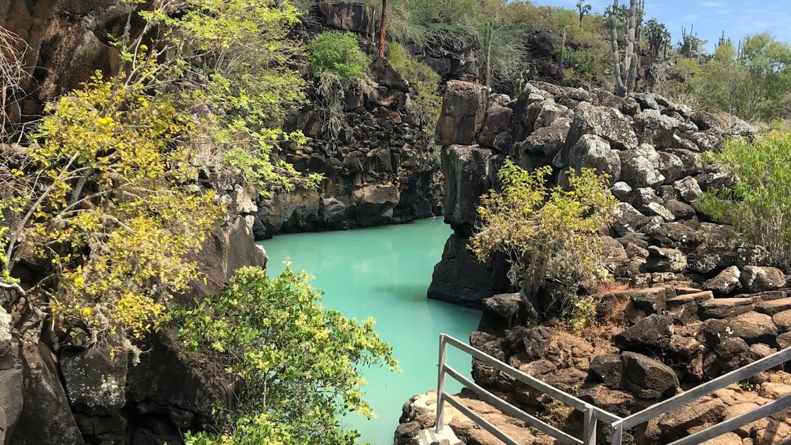 Galápagos