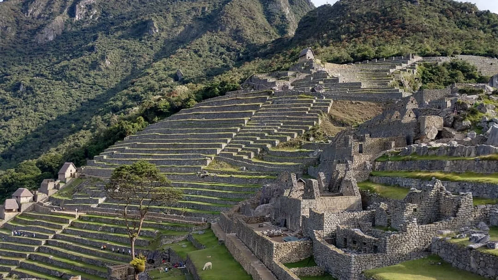 Machu Picchu
