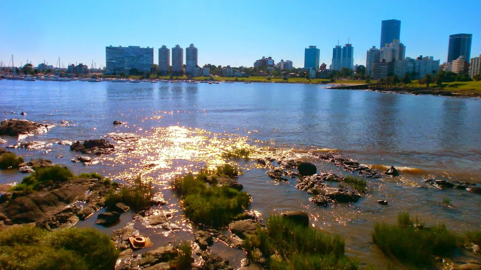 Montevideo