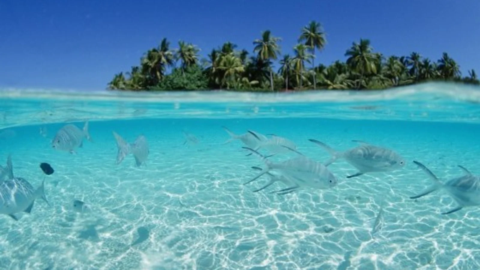 Los Roques